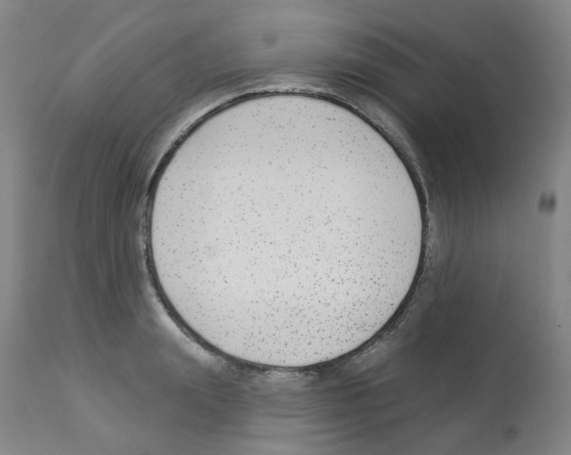 X0000112940847200910051153