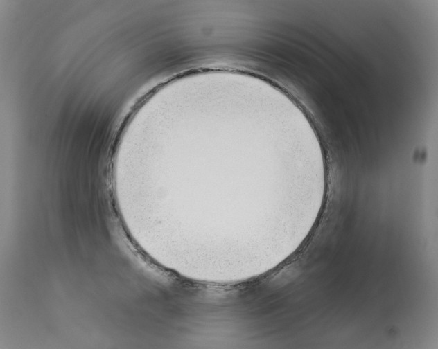 X0000112940848200910051153