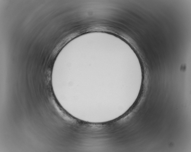 X0000112940849200910051154
