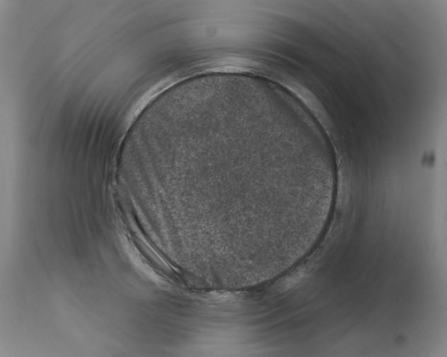 X0000112940850200910051154