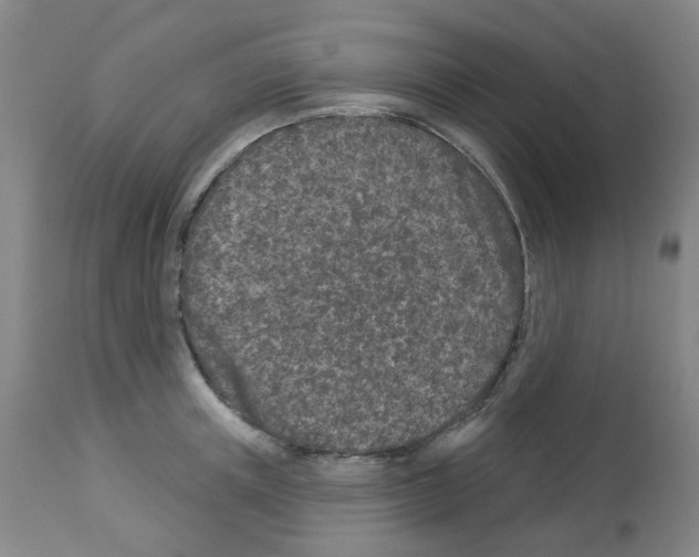 X0000112940851200910051154