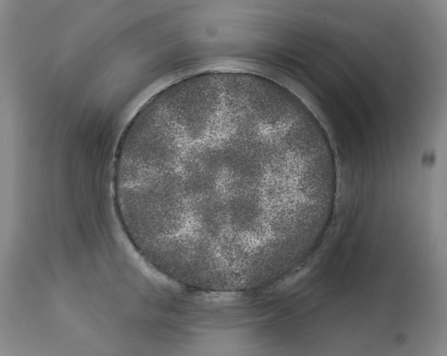 X0000112940853200910051154