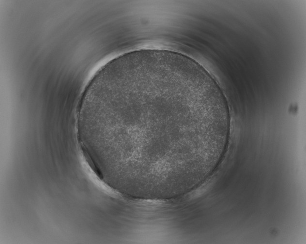 X0000112940854200910051154