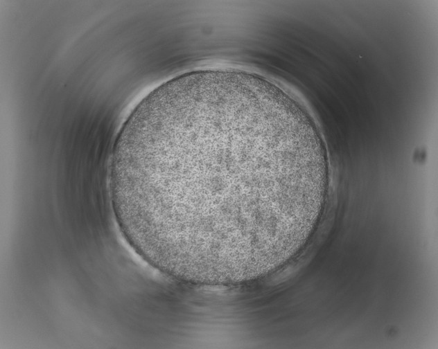 X0000112940855200910051154