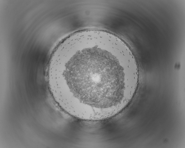 X0000112940856200910051154