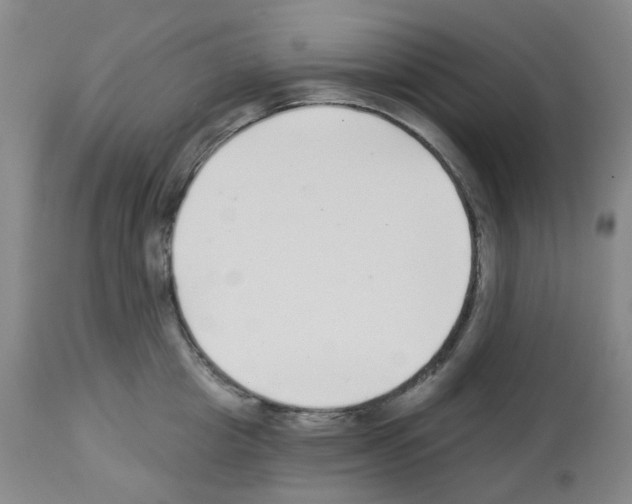 X0000112940857200910051154