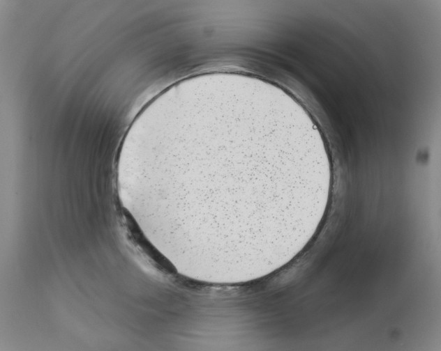 X0000112940858200910051154