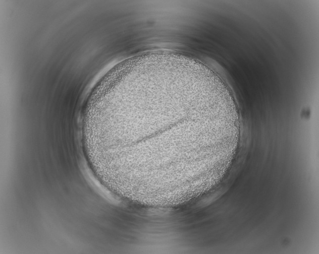X0000112940859200910051154