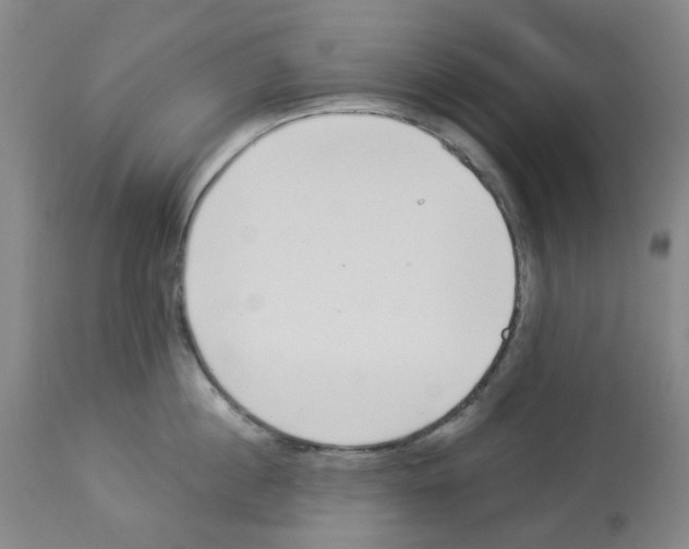 X0000112940860200910051154