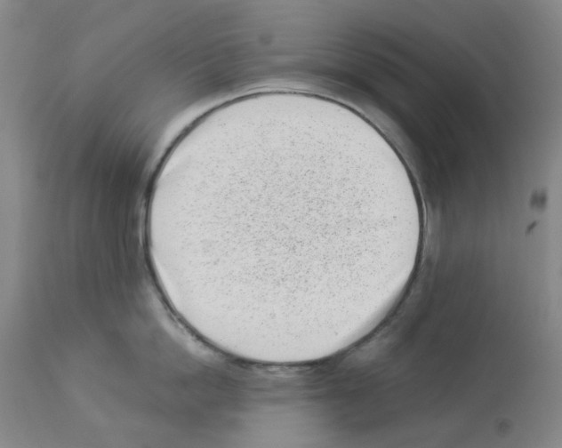 X0000112940862200910051154