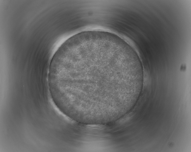 X0000112940863200910051154