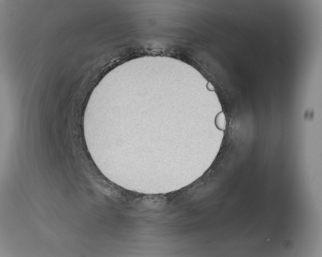 X0000112940865200910051153
