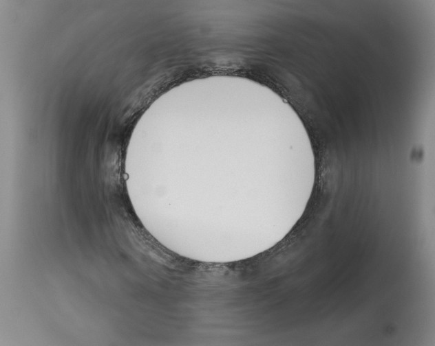 X0000112940866200910051153