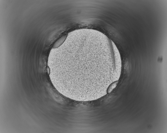 X0000112940868200910051153