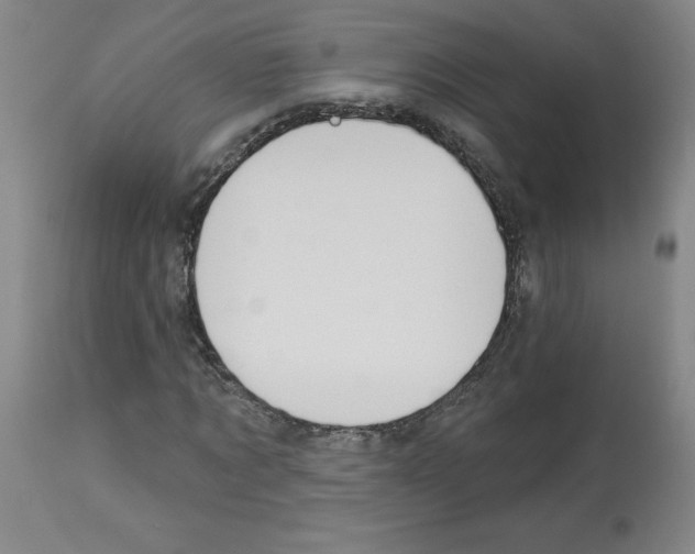 X0000112940869200910051153