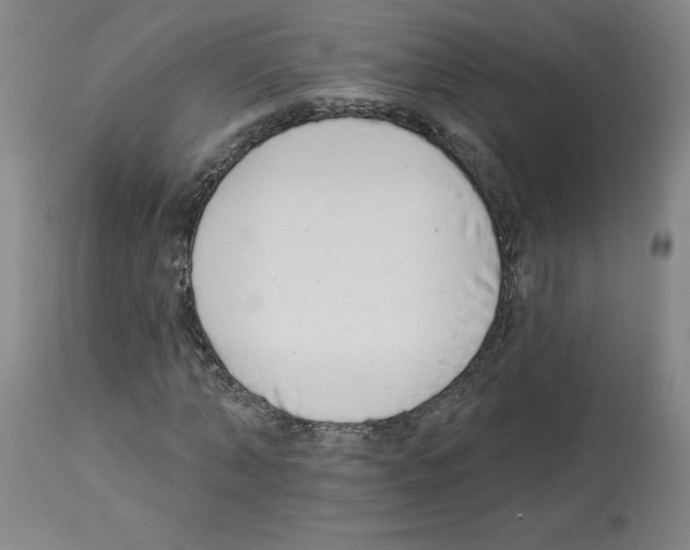 X0000112940870200910051153