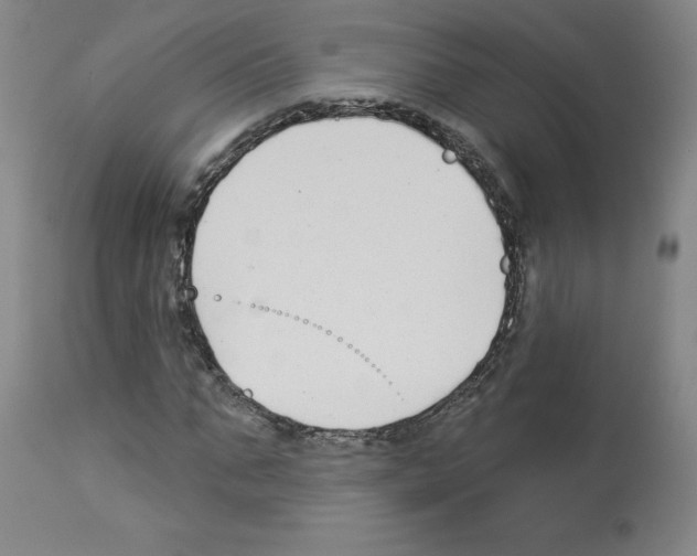 X0000112940871200910051153