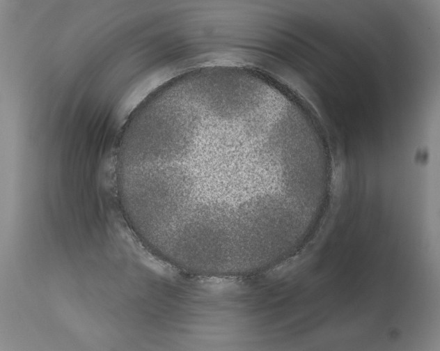 X0000112940874200910051153