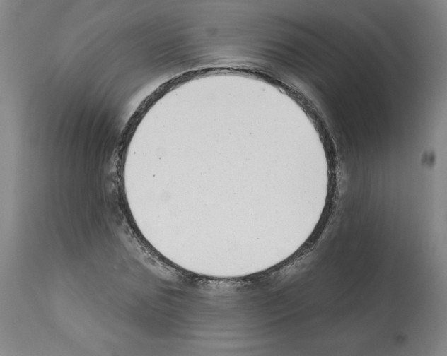 X0000112940875200910051153