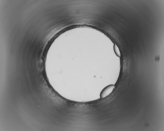 X0000112940876200910051153
