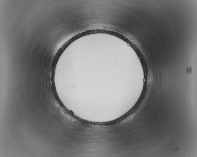X0000112940877200910051153