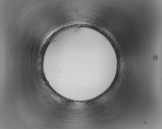 X0000112940878200910051153