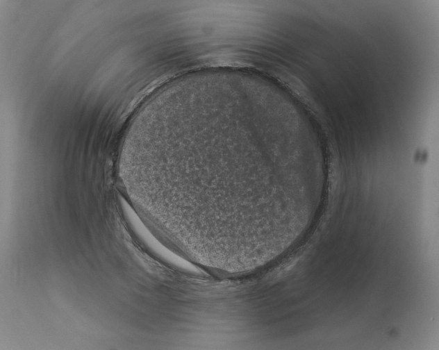 X0000112940881200910051153