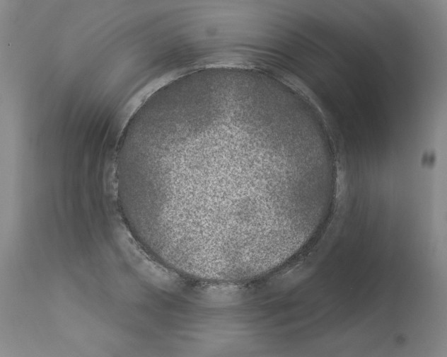 X0000112940882200910051153