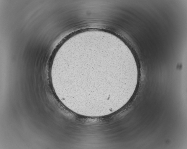 X0000112940883200910051153