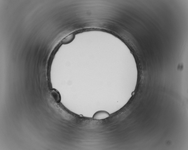 X0000112940884200910051153