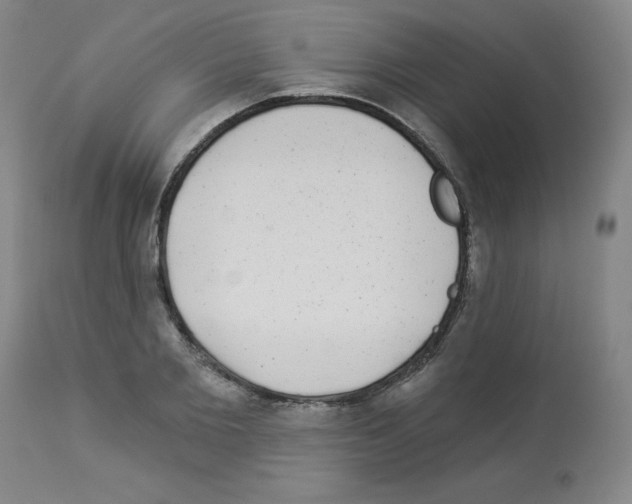 X0000112940885200910051153