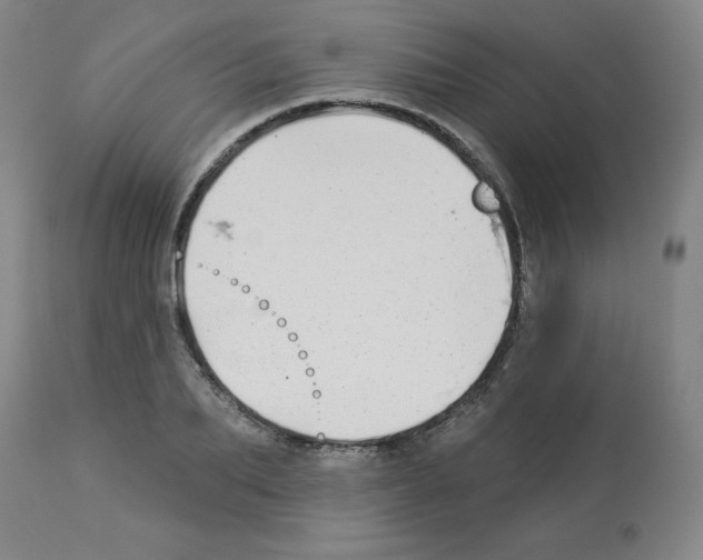 X0000112940887200910051153
