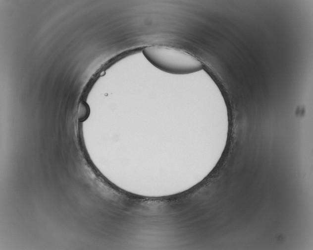 X0000112940888200910051153