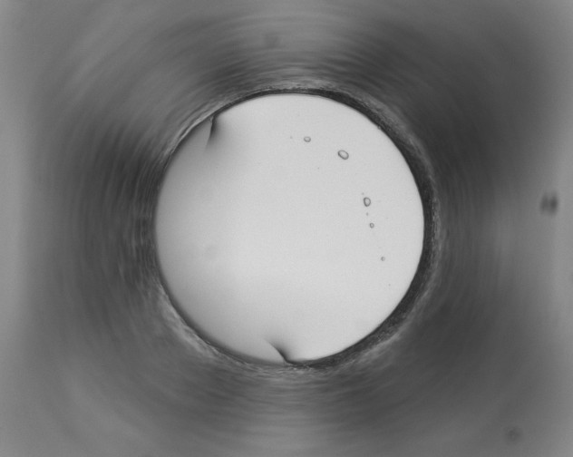 X0000112940889200910051153