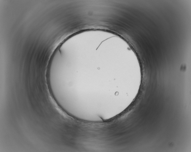 X0000112940893200910051152