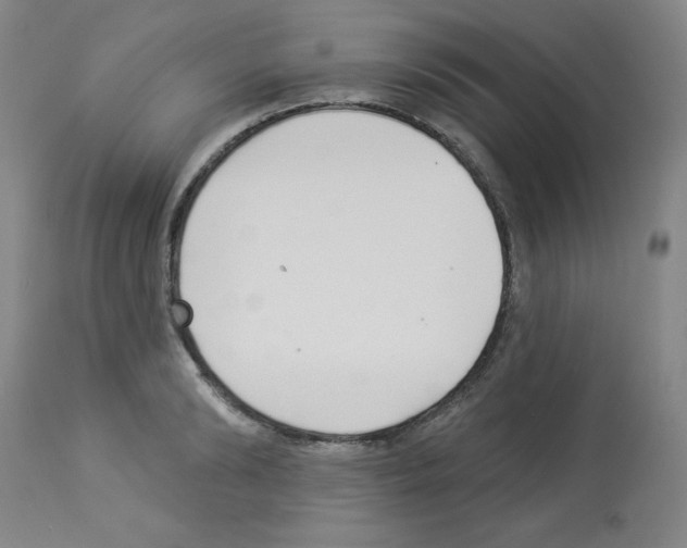 X0000112940894200910051152