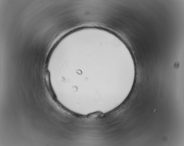 X0000112940895200910051152