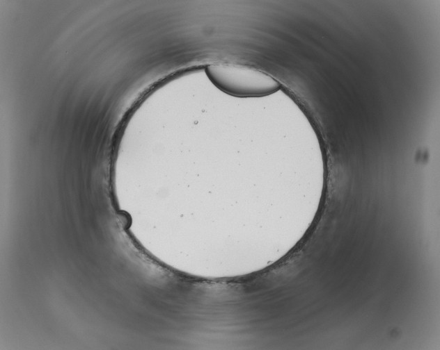 X0000112940896200910051152