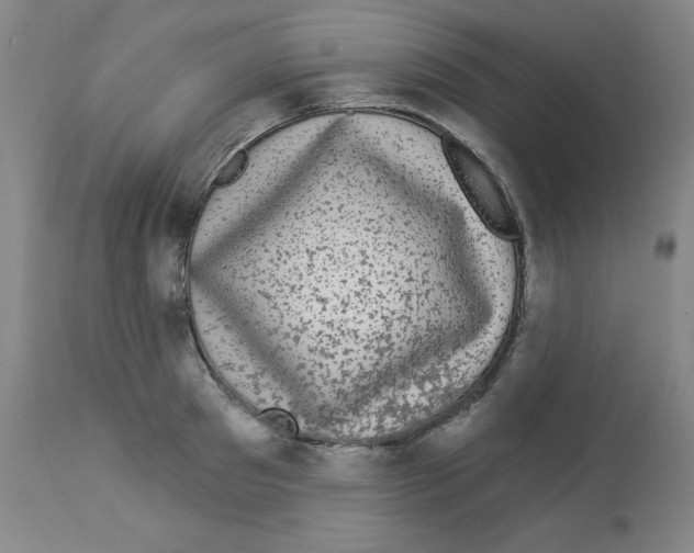 X0000112940897200910051152