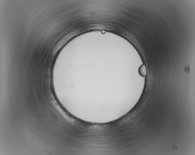 X0000112940898200910051152