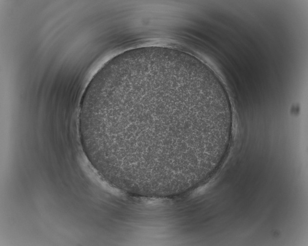 X0000112940899200910051152