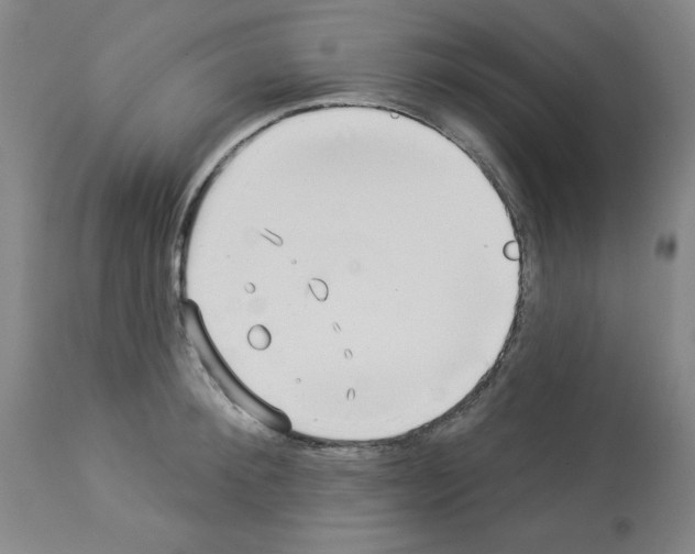 X0000112940900200910051152