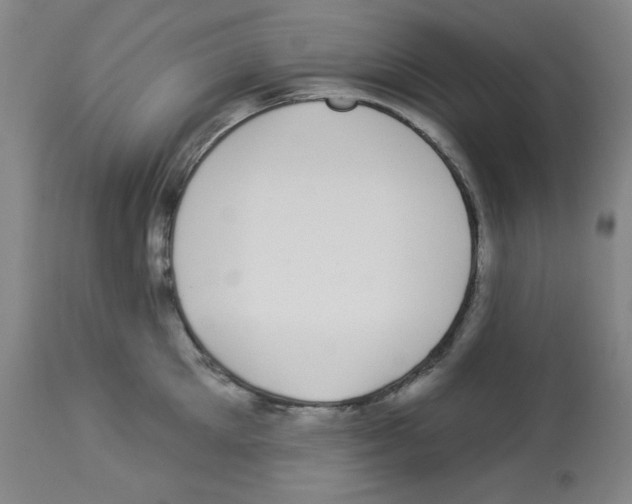 X0000112940905200910051152