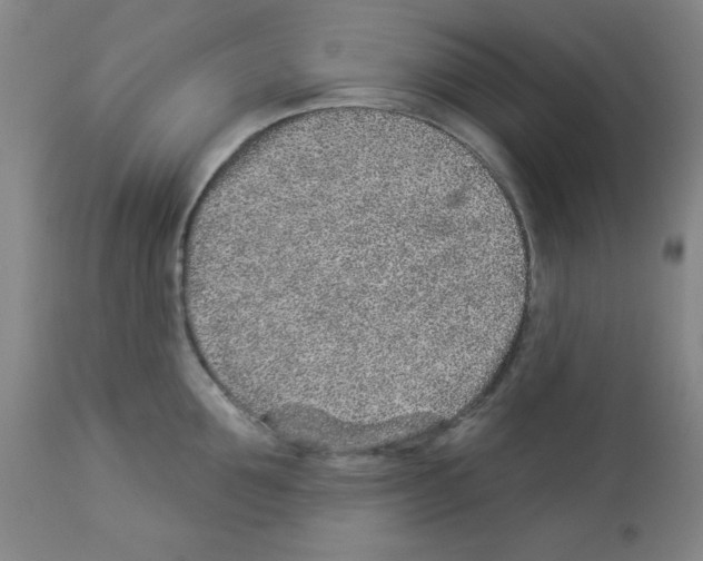 X0000112940907200910051152