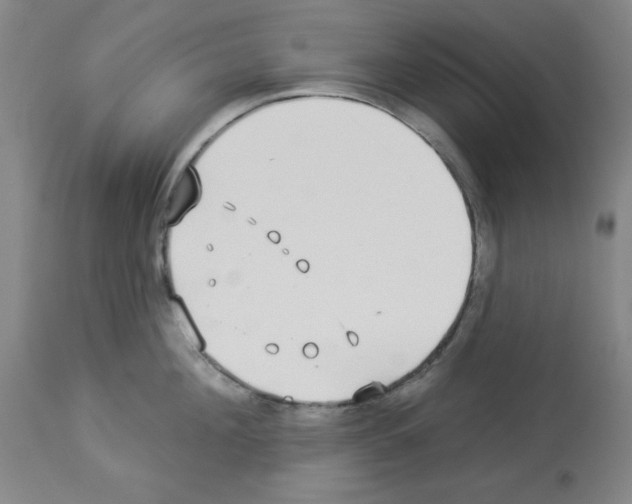 X0000112940908200910051152