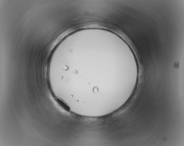 X0000112940909200910051152