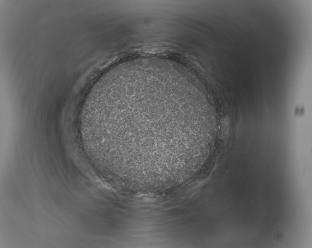 X0000112940913200910051151