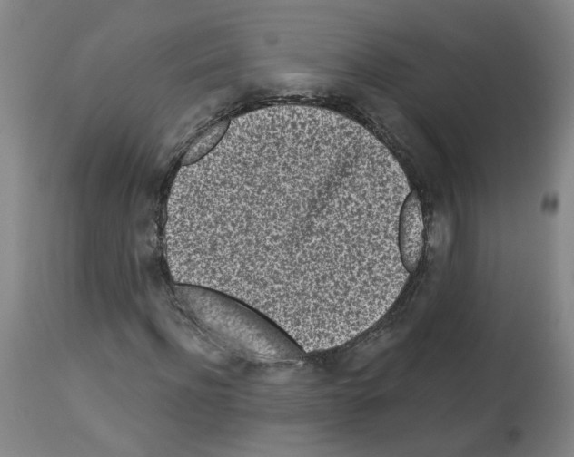 X0000112940916200910051151