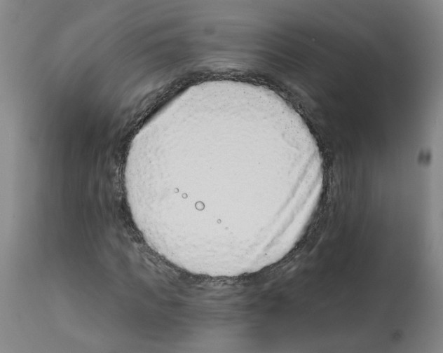 X0000112940917200910051151