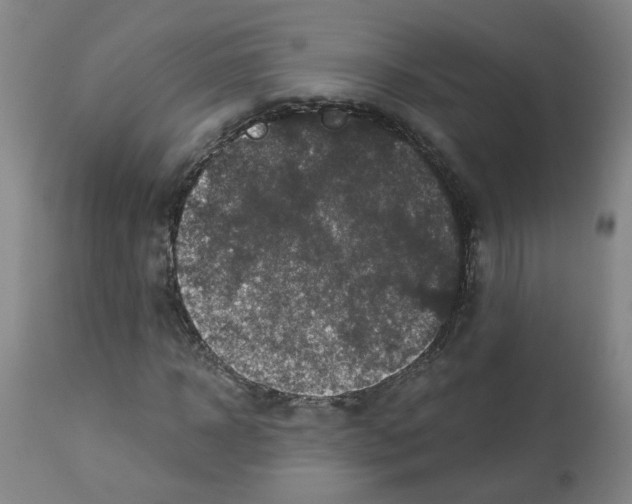 X0000112940918200910051151